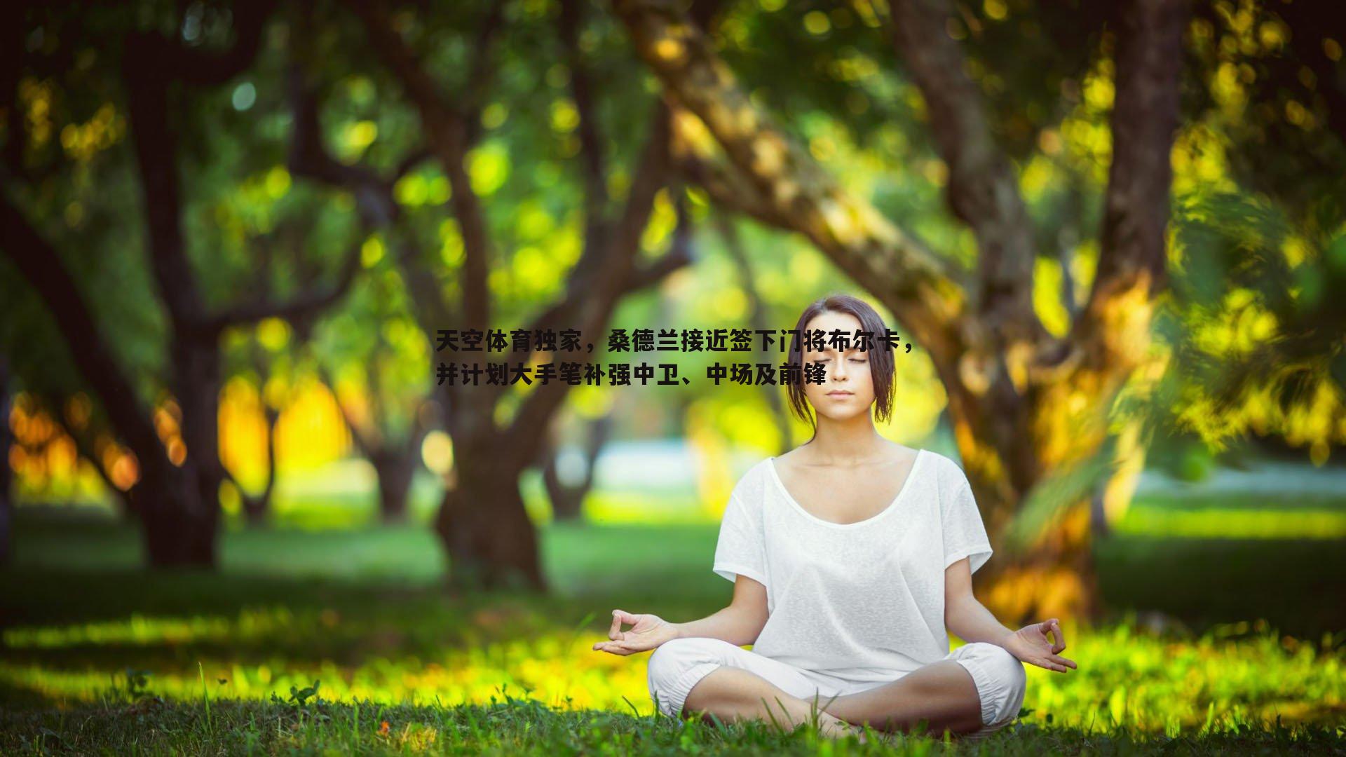 金年会-天空体育独家，桑德兰接近签下门将布尔卡，并计划大手笔补强中卫、中场及前锋-第2张图片-金年会